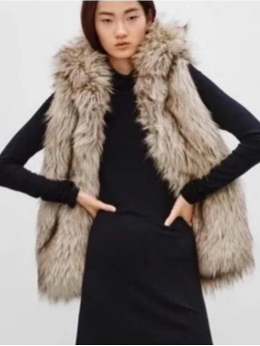 Aritzia Sunday Best Faux Fur Hooded Vest